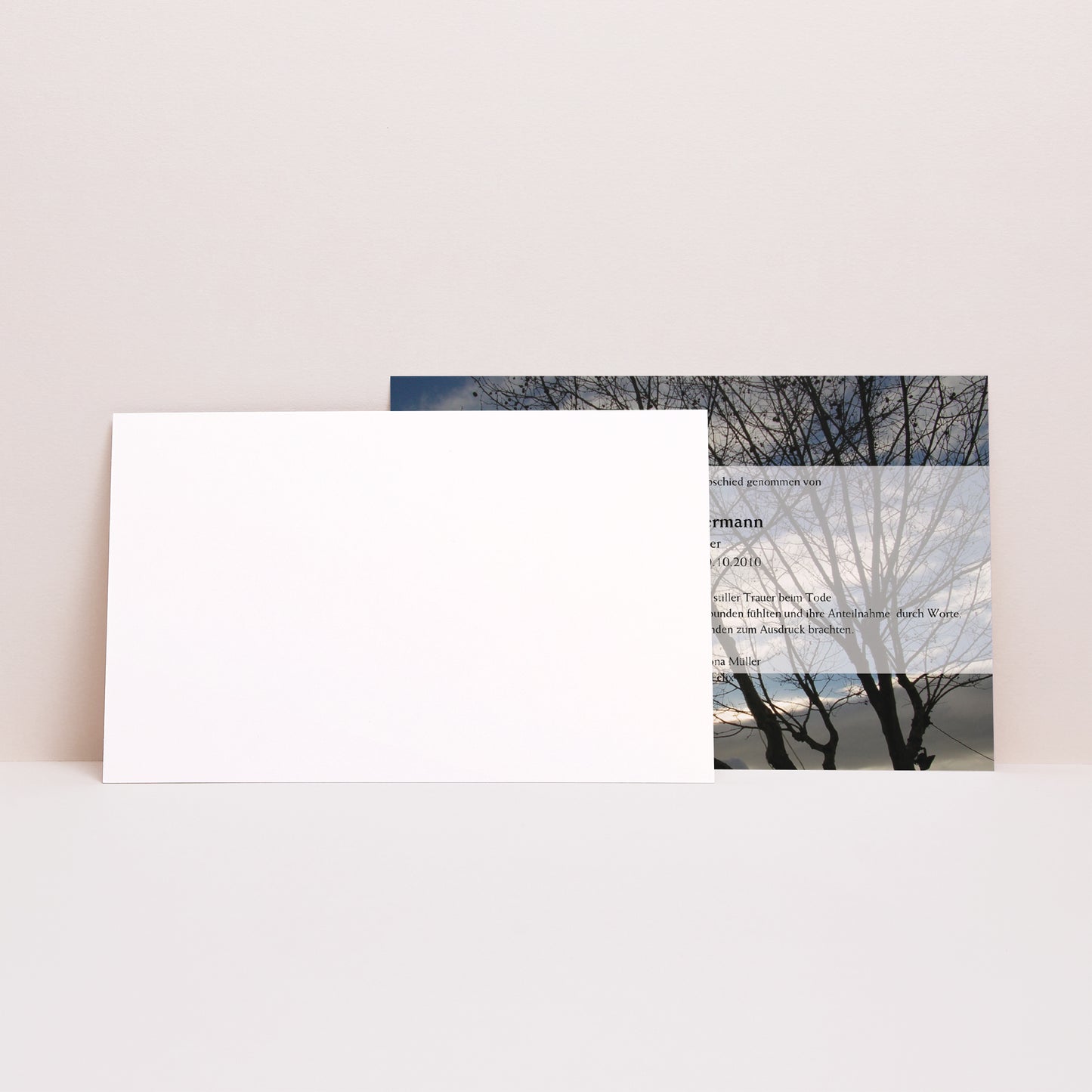Trauerkarte Landschaft Der Baum des Lichts foto N° 2