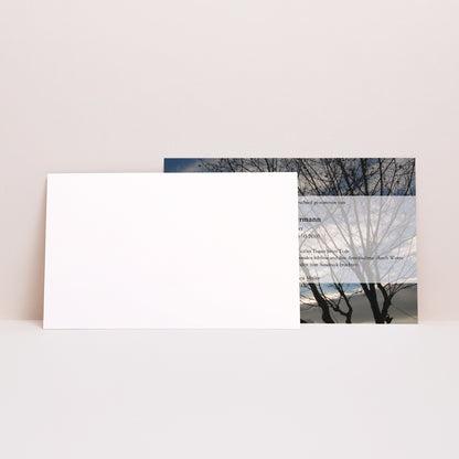 Trauerkarte Landschaft Der Baum des Lichts foto N° 2