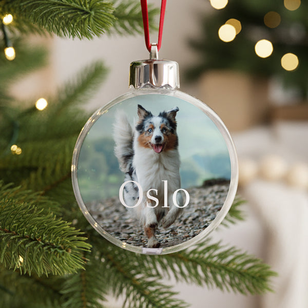 Weihnachtskugel Weihnachten Runde Hund foto