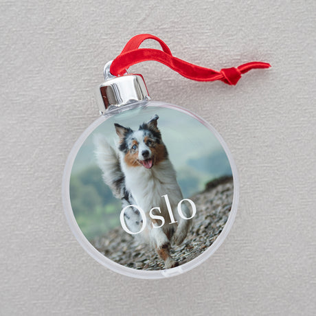 Weihnachtskugel Weihnachten Runde Hund