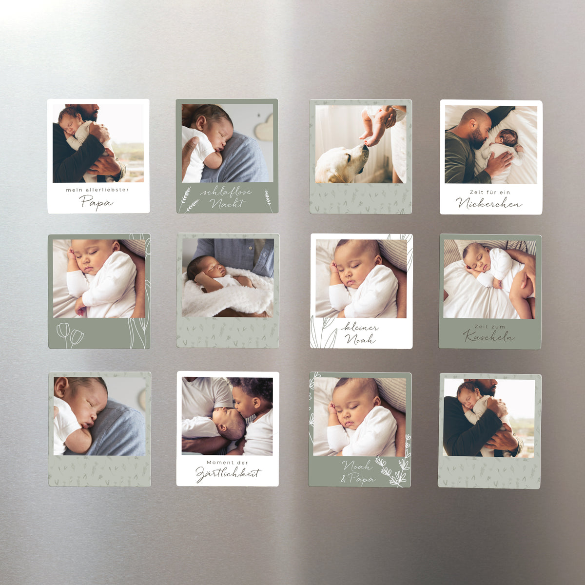 Magnet Objekte Pack mit 12, magnetisch Kleines Herbarium für Papa foto N° 1