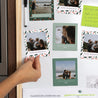 Fotoabzug Weihnachten Pack mit 12, magnetisch Brennender Busch foto N° 2