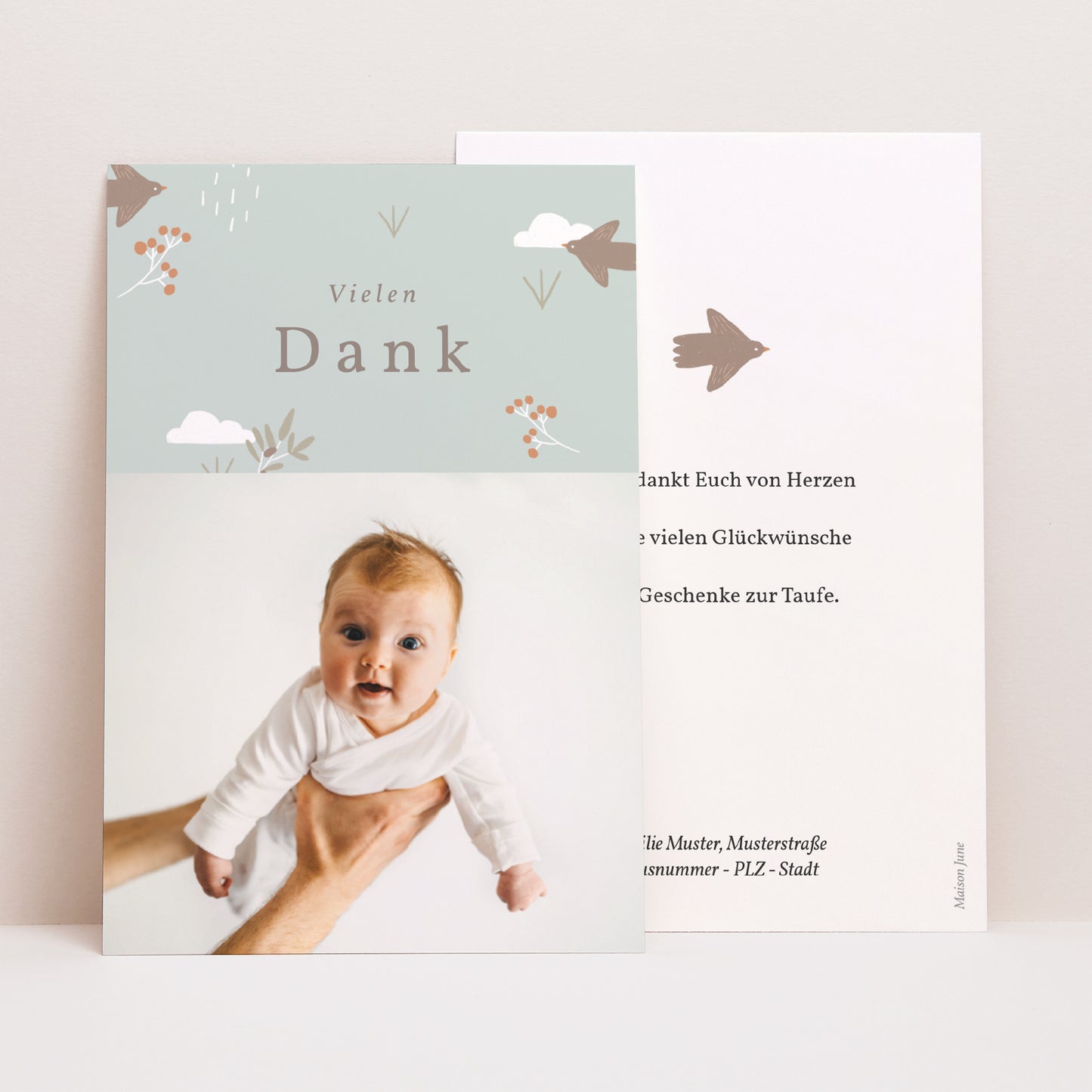 Dankeskarte Taufe PortraitPorträt Vogel, Wolken und Olivenzweig II foto N° 1