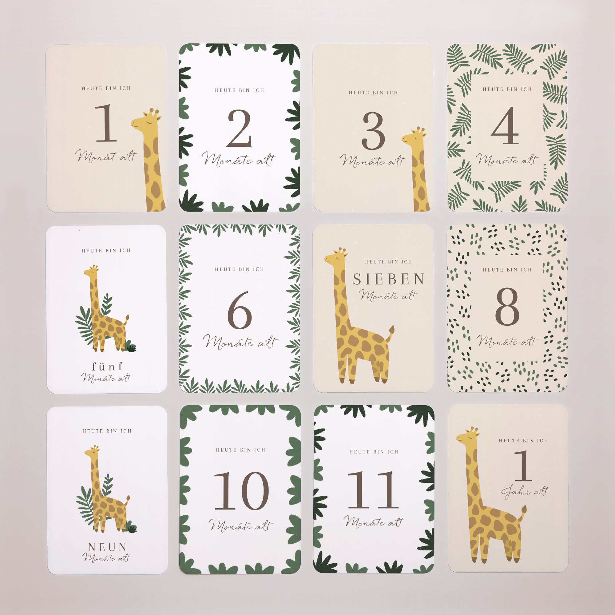 Meilenstein Karten Geburt 12er-Pack Giraffe Savanne foto N° 3
