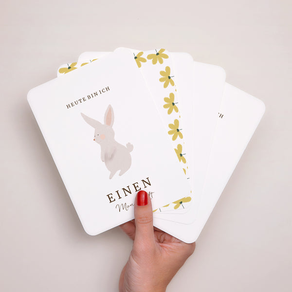 Meilenstein Karten Geburt 12er-Pack Fruchtiger Hase foto