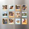 Magnet Objekte Pack mit 12, magnetisch Mama Lova foto N° 1