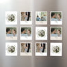 Fotoabzug Weihnachten Pack mit 12, magnetisch Flockenstrang und Kugel foto N° 1