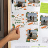 Magnet Objekte Pack mit 12, magnetisch foto N° 2
