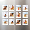 Fotoabzug Kindergeburtstag Pack mit 12, magnetisch foto N° 1