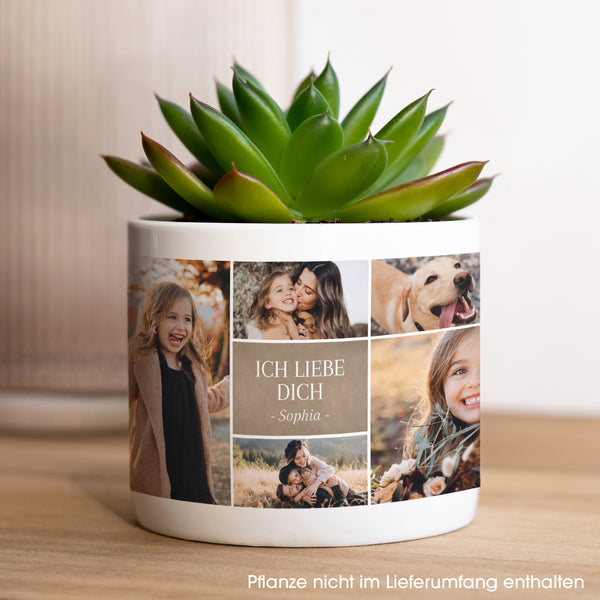 Blumentopf Objekte 48 cl Multiphotos kraft foto