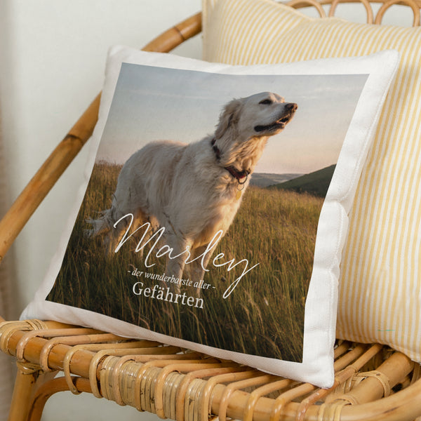 Kissen Objekte Natürliche Beige Pet love foto