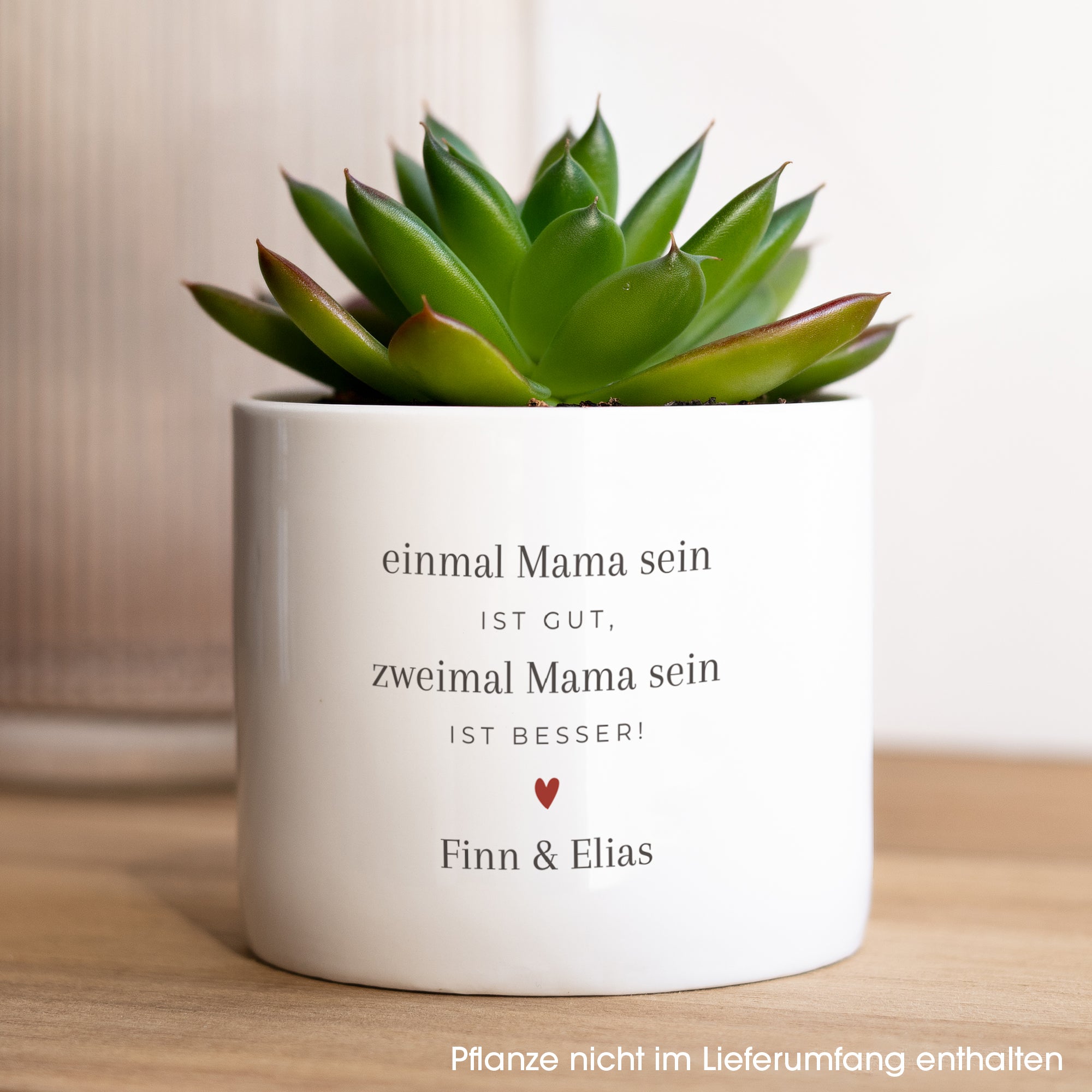 Blumentopf Objekte 48 cl Mama zweimal! foto N° 1