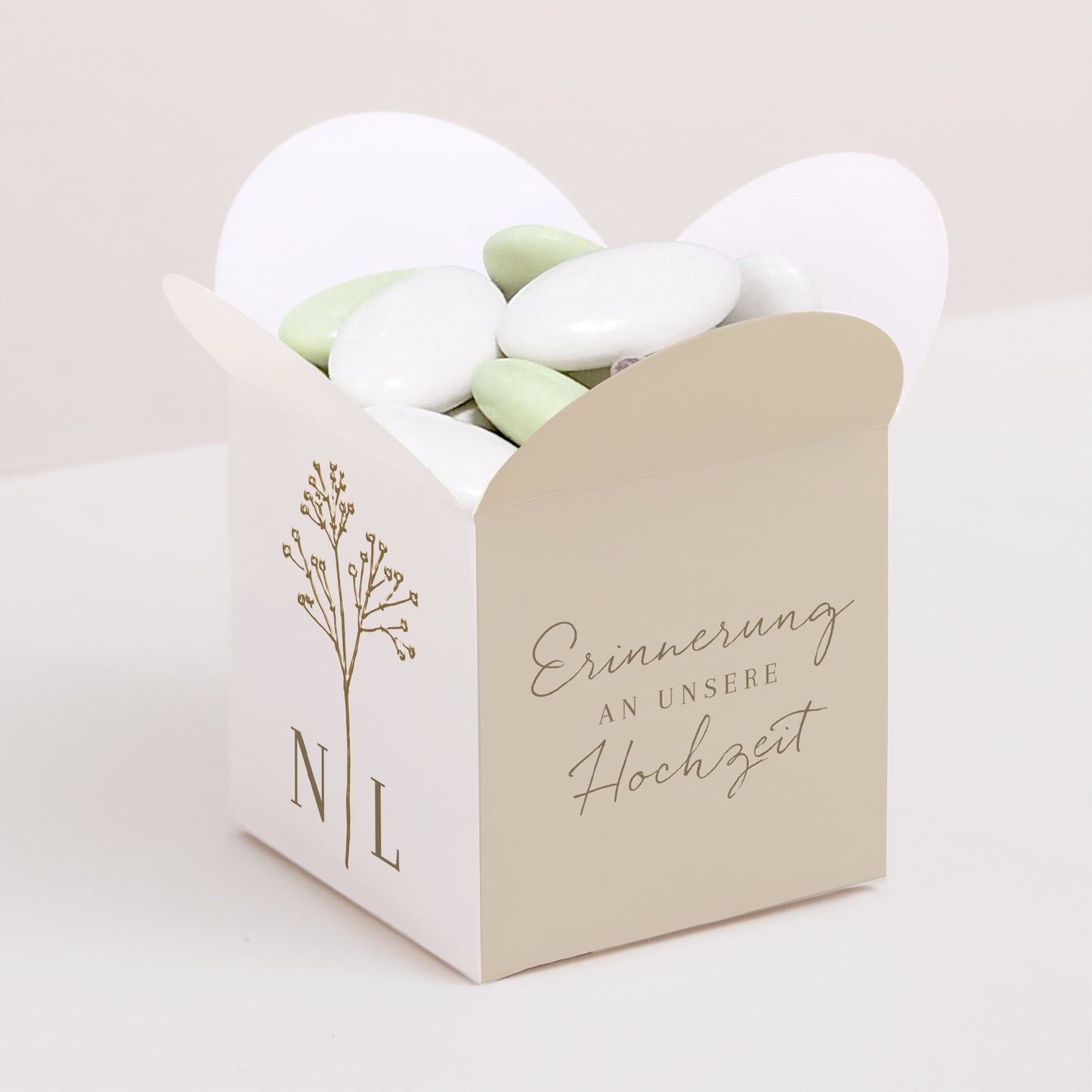 Geschenkbox Hochzeit Schmetterlingsöffnung Elegante Gipskraut foto N° 1