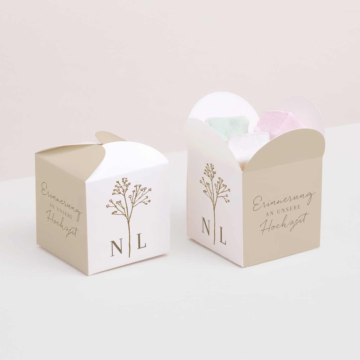 Geschenkbox Hochzeit Schmetterlingsöffnung Elegante Gipskraut foto N° 2