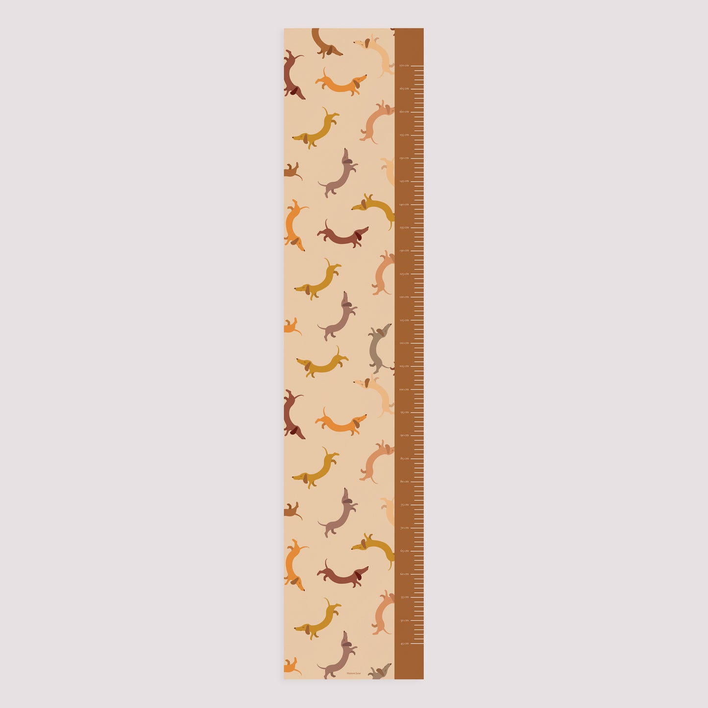 Kindermesslatte Geburt Papier Hot Dog foto N° 5