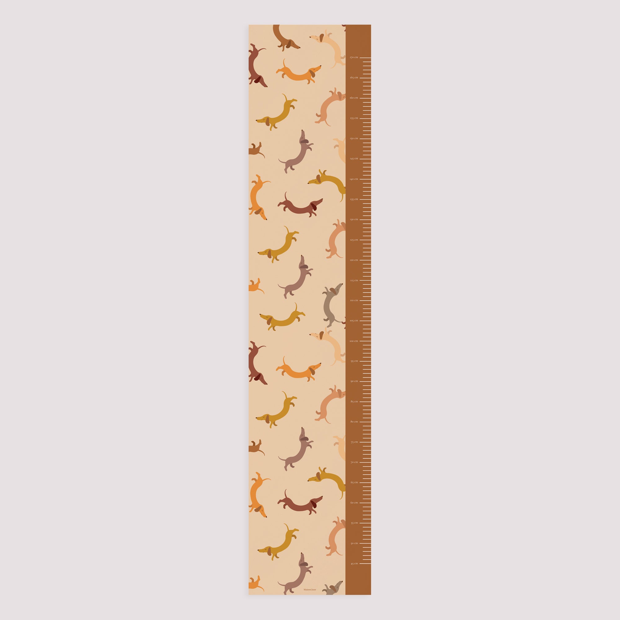 Kindermesslatte Geburt Papier Hot Dog foto N° 5