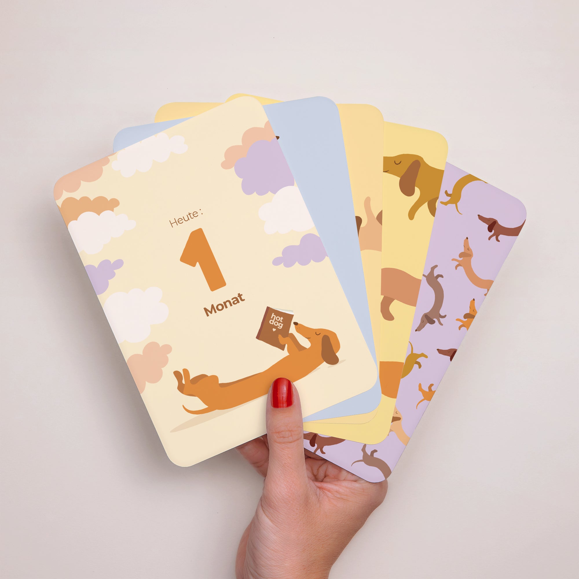 Meilenstein Karten Geburt 12er-Pack Hot-Dog-Farben foto N° 1