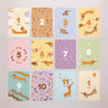 Meilenstein Karten Geburt 12er-Pack Hot-Dog-Farben foto N° 3