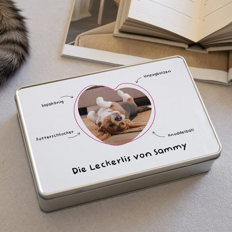 Katzenspielzeug Rechteck Niedlicher Schlingel