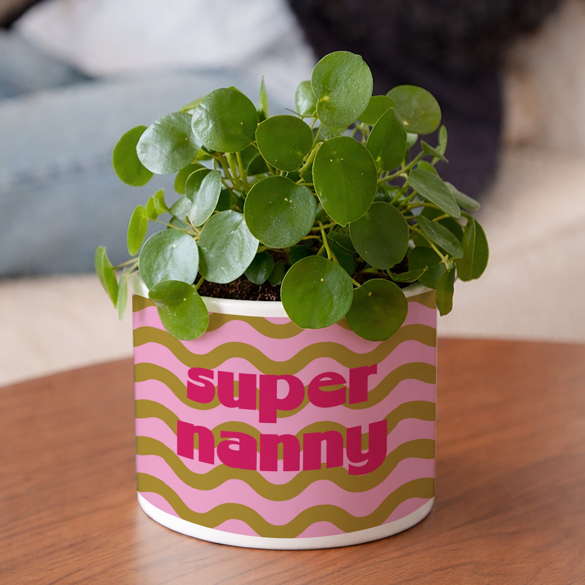Blumentopf 48 cl Super Nanny foto N° 2