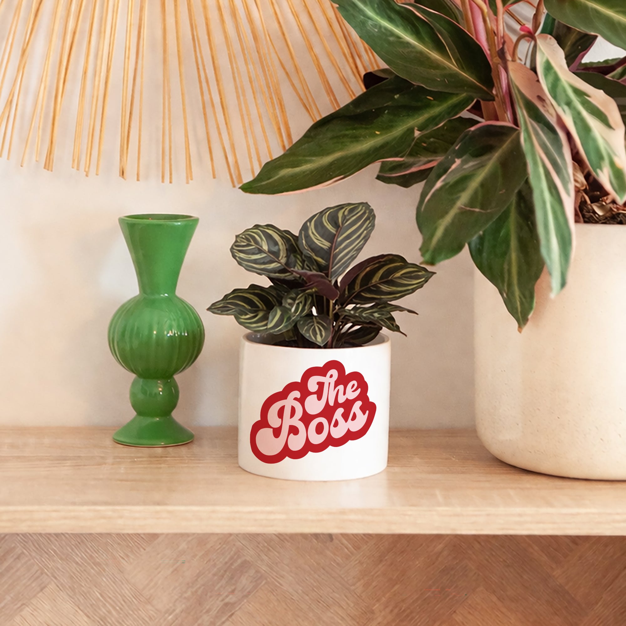 Blumentopf 48 cl Wer ist die Bossin? foto N° 4