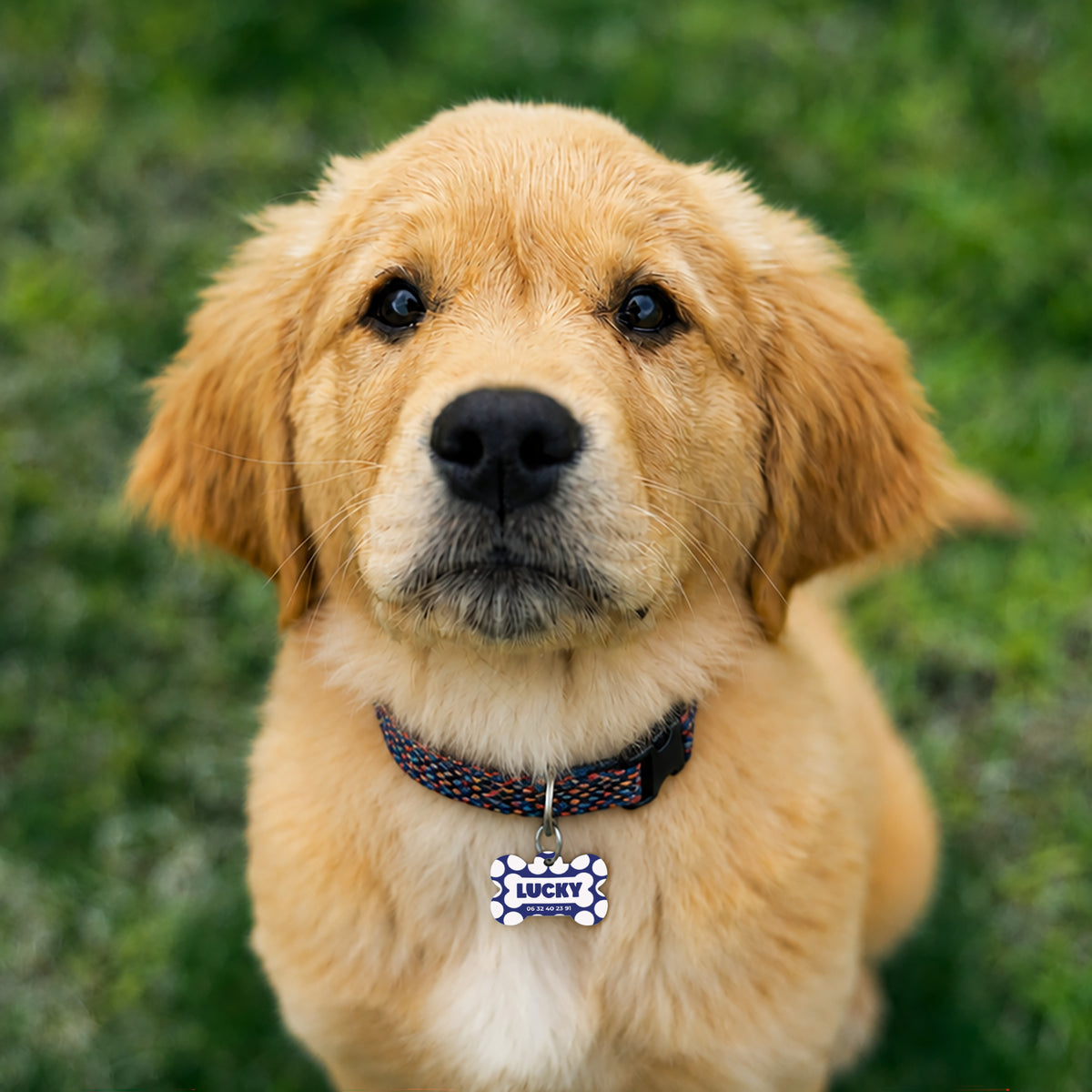 Medaillon Hund Knochen foto N° 3