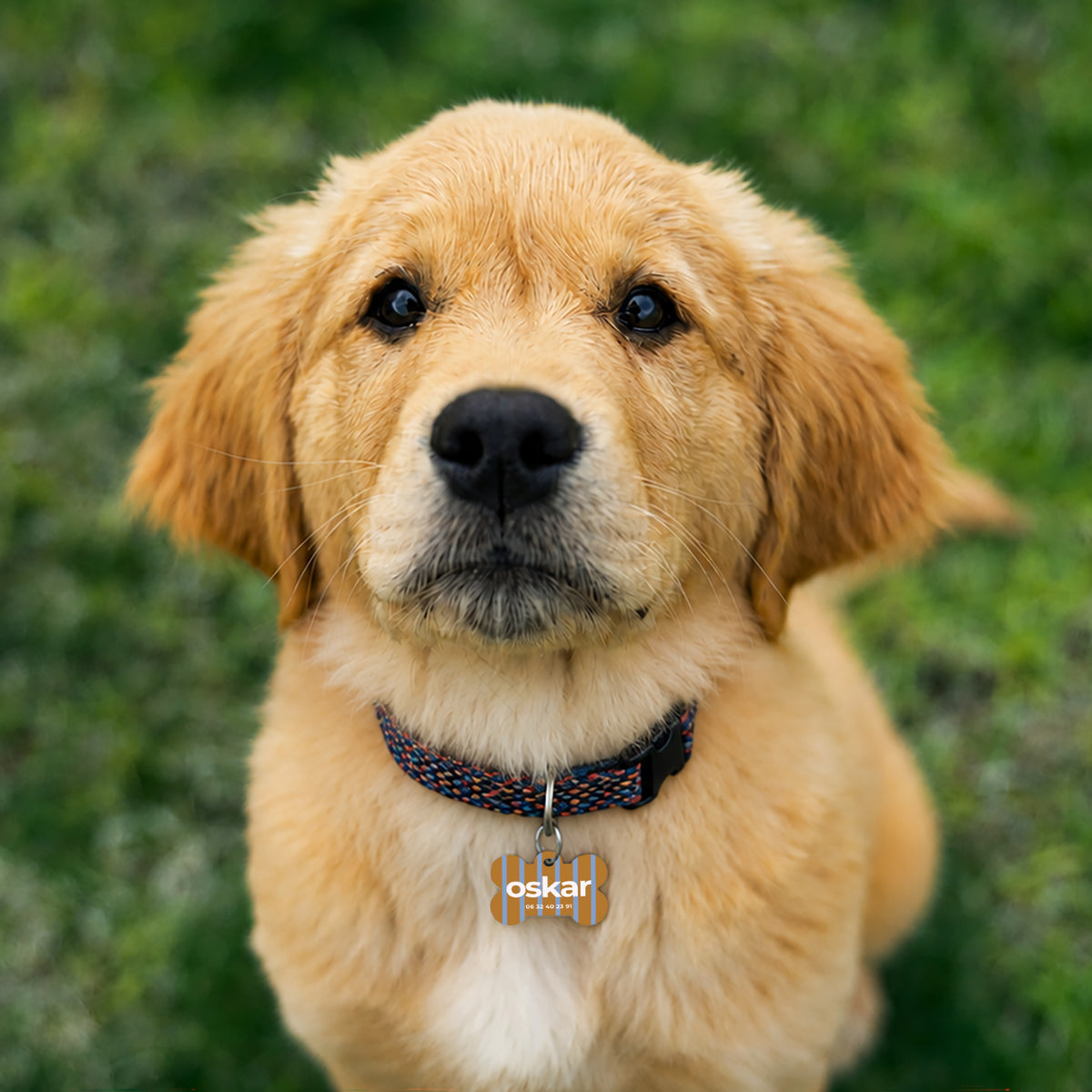 Medaillon Hund Knochen Das Traumleben foto N° 3