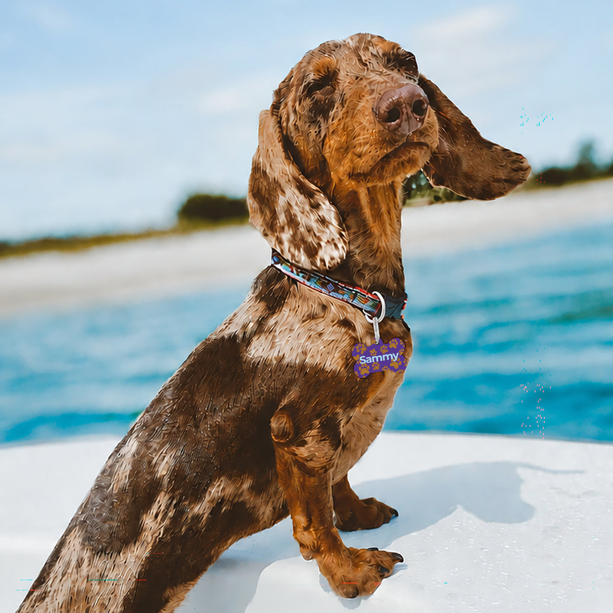 Medaillon Hund Knochen Tausend und eine Pfote foto N° 2