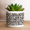 Blumentopf Objekte 48 cl Feline Romantik foto N° 1
