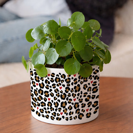 Blumentopf Objekte 48 cl Feline Romantik
